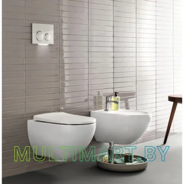 Унитаз Geberit Acanto 500600012 картинка 5